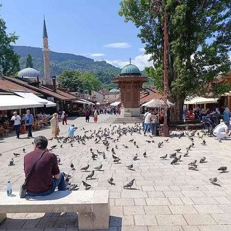Dzan * Sarajevo